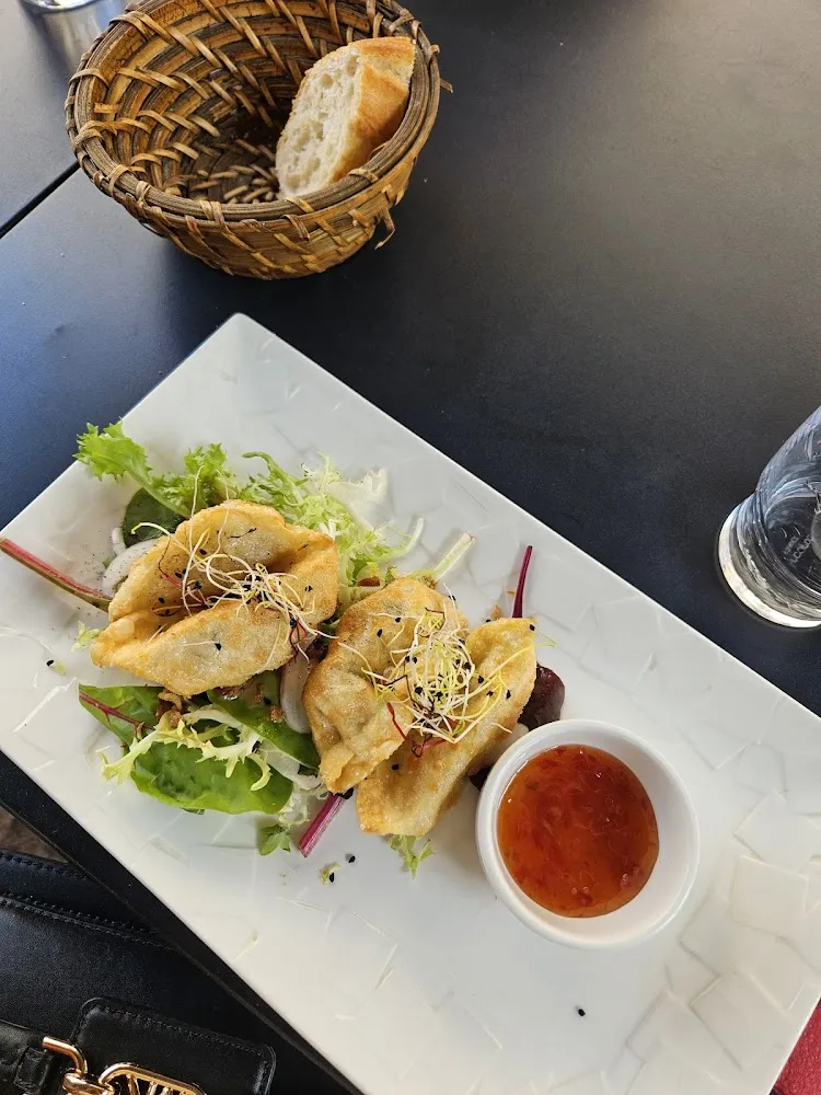 Gyoza Poulet
